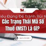 Các Trạng Thái Mã Số Thuế (MST)